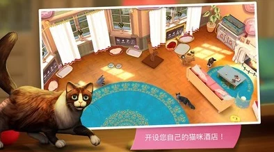 2024年让猫咪也能参与的触屏捕鱼游戏大盘点，有趣触屏钓鱼合集来袭